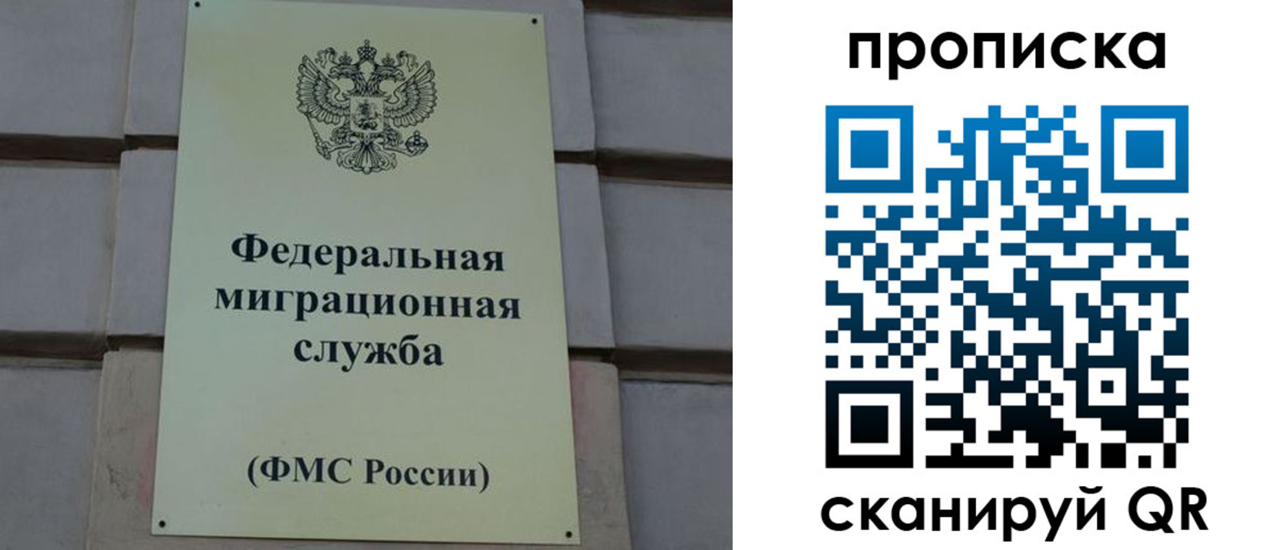 прописка поиск в Белгородской области